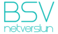 BSV Netverslun