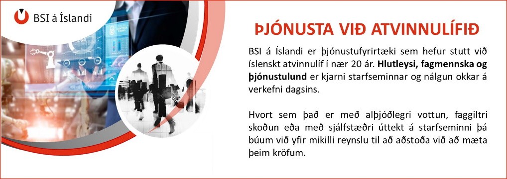 BSI á Íslandi ehf - Skipaskoðun / Vestfirðir og Snæfellsnes - Magnús Jónsson