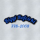 Biggi rafvirki ehf
