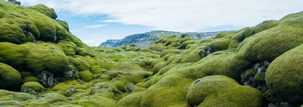 Alhliða Túlka og Þýðingastofan ehf