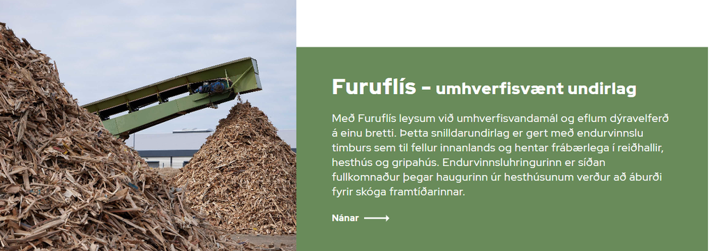Furuflís