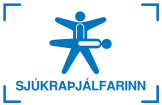 Sjúkraþjálfarinn