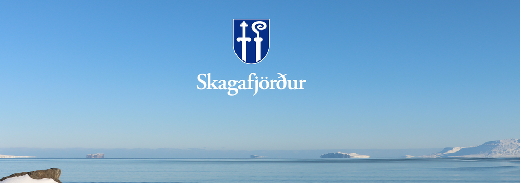 Sundlaugin