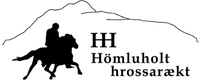 Hömluholt ehf