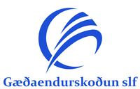 Gæðaendurskoðun slf