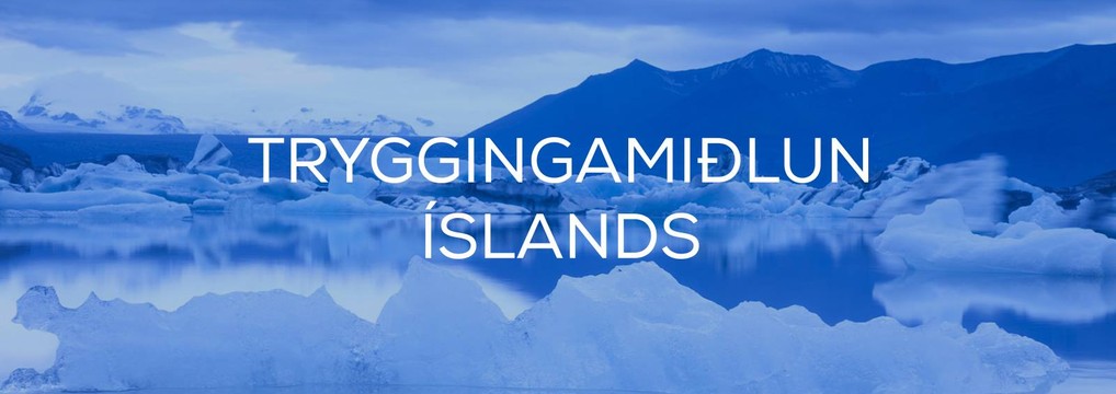 Tryggingamiðlun Íslands ehf