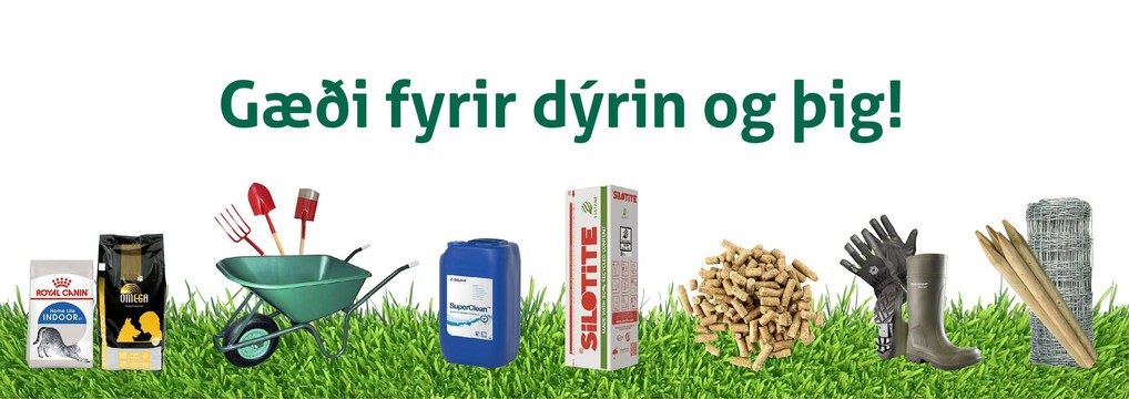 Fóðurblandan ehf.
