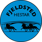 Hestaleigan og reiðskólinn