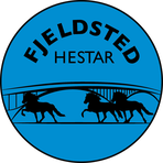 Hestaleigan og reiðskólinn