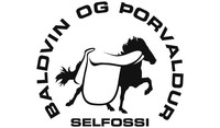 Hestavöruverslunin Baldvin og Þorvaldur ehf