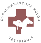 Dýralæknastofa Helgu