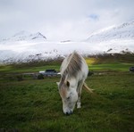 Gistihúsið Skeið