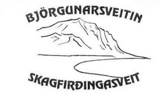 Björgunarsveitin Skagfirðingasveit SL
