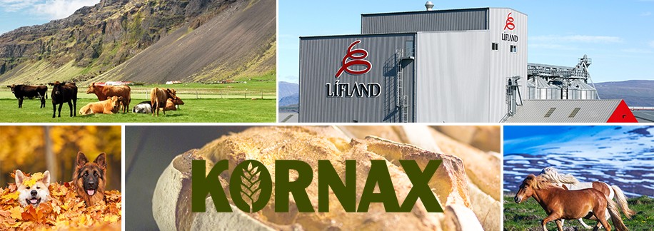 Lífland ehf - skrifstofur