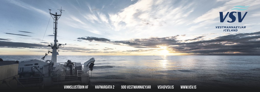 Vinnslustöðin hf