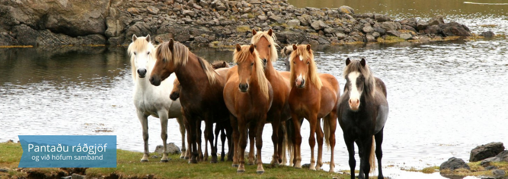 Ráðgjafarmiðstöð landbúnaðarins