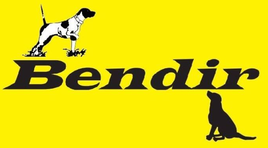 Bendir ehf