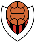 Knattspyrnufélagið Víkingur