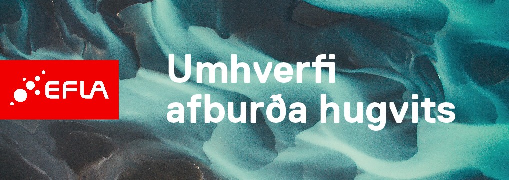 EFLA Reykjanesbæ