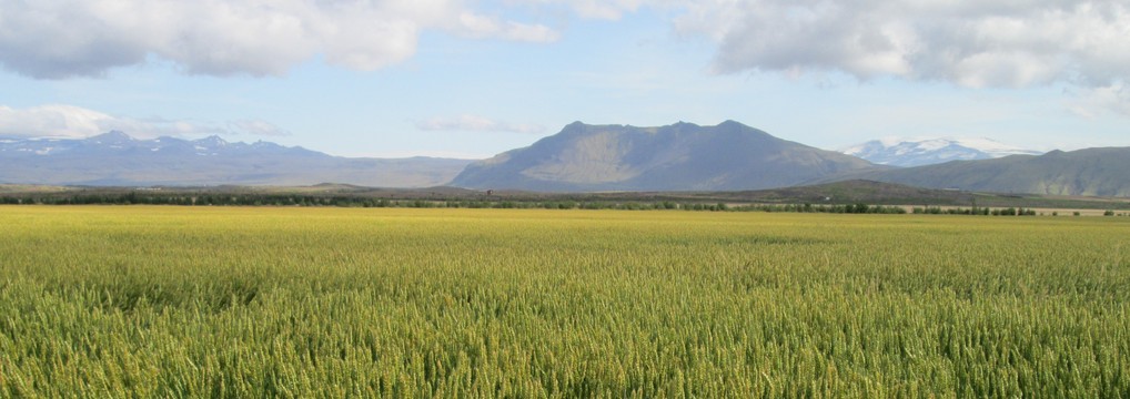 Ráðgjafarmiðstöð landbúnaðarins